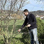 Rückschnitt