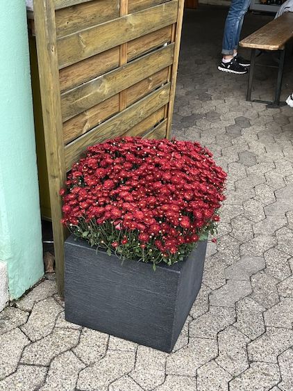 Obst- und Gemüseschau