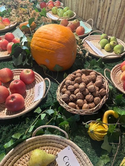 Obst- und Gemüseschau