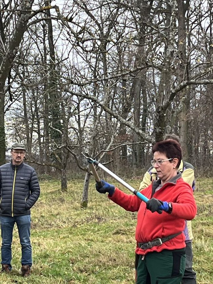 Winterschnittkurs
