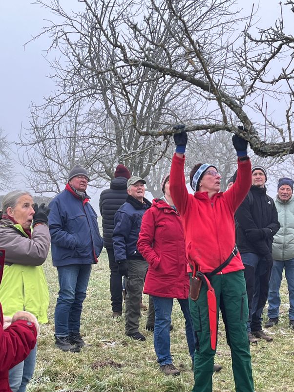 Winterschnittkurs 2024