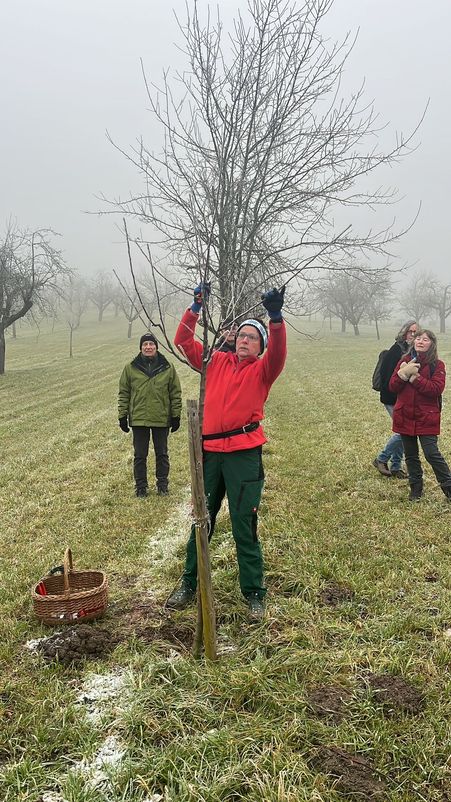 Winterschnittkurs 2024